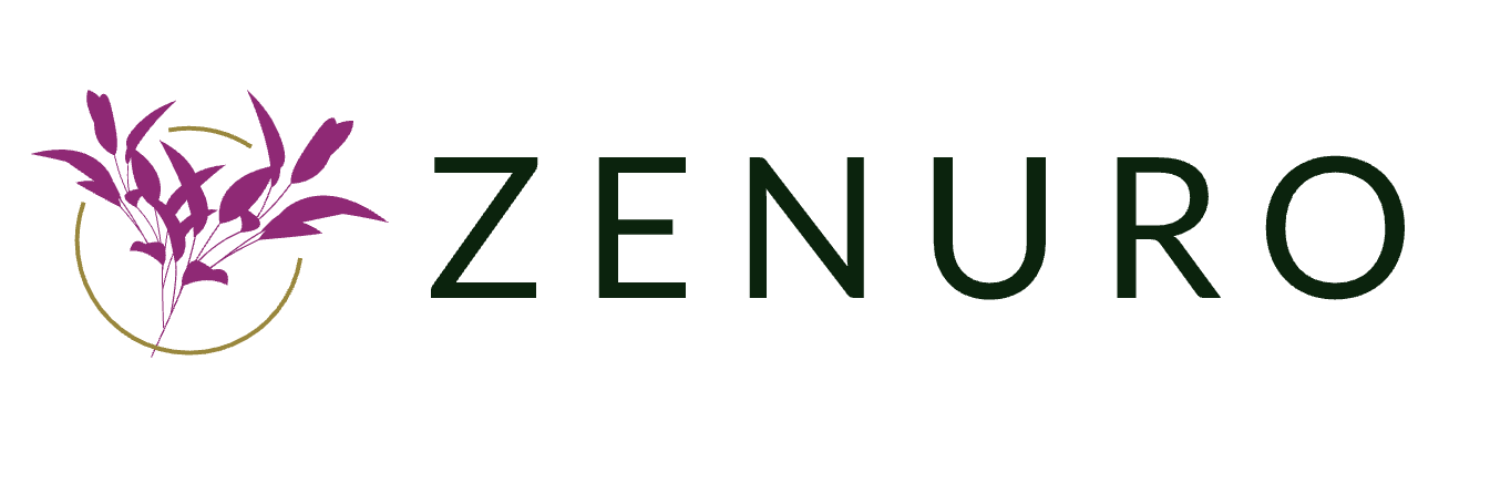 Zenuro Systems
